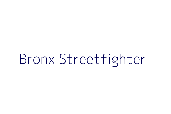 Bronx Streetfighter